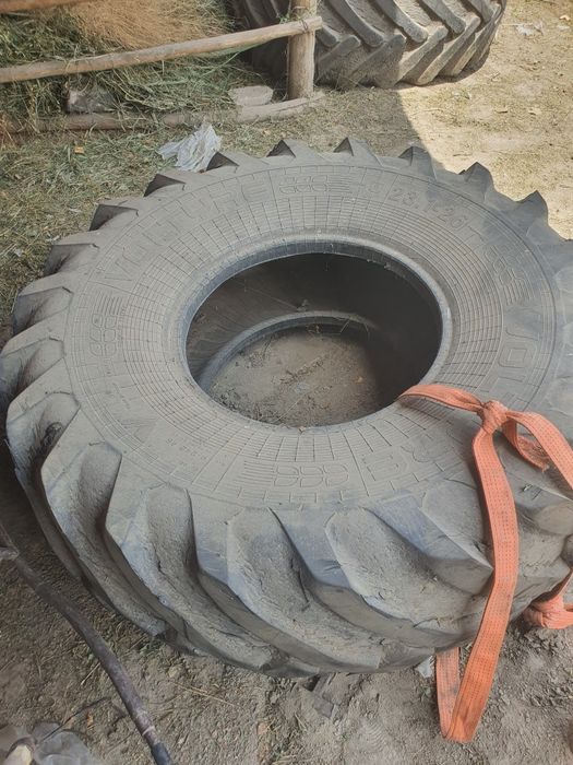 Class dominator katta balonlari
