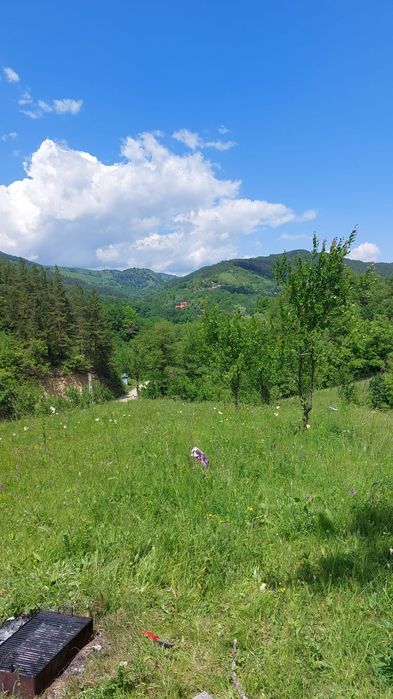 Teren  de vanzare 4000mp in Lopatari