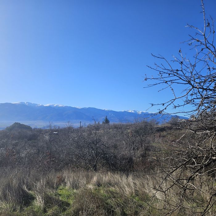 Парцел в Горна василица