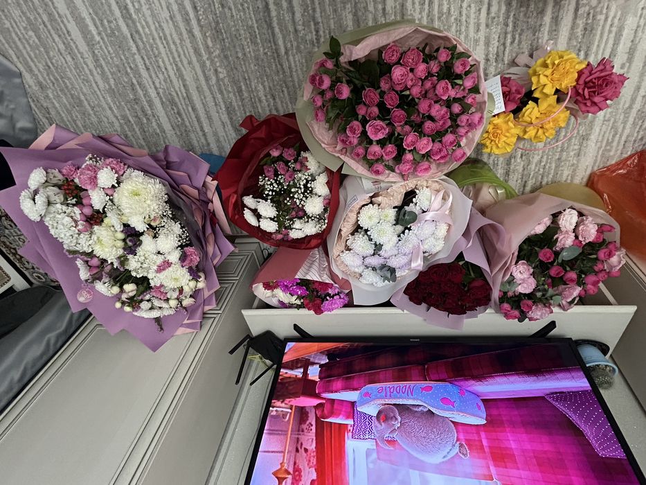 Цветы буу продам