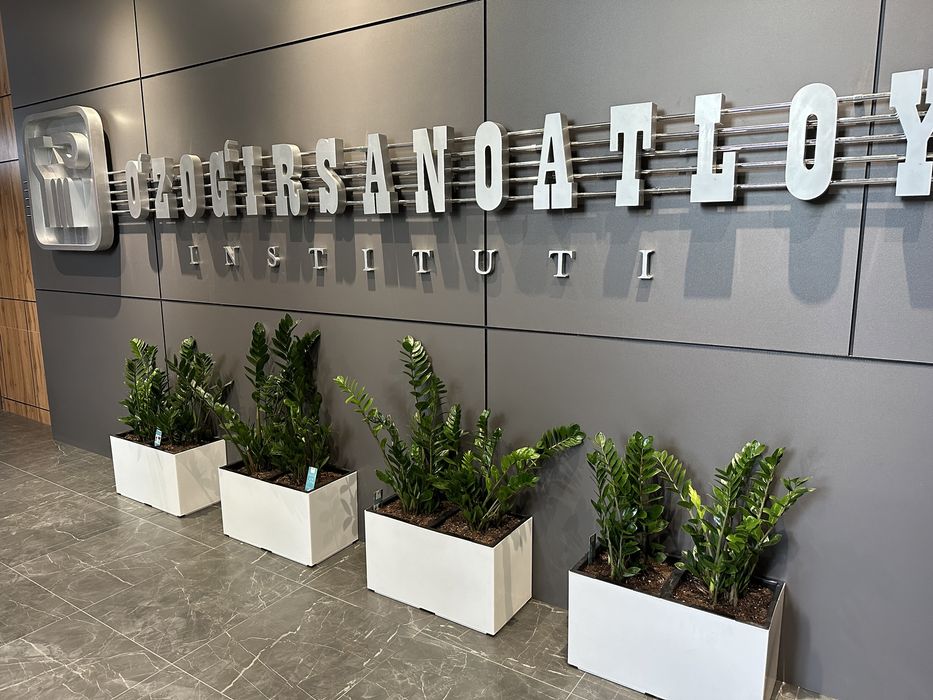 Уход за комнатными растениями с гарантией