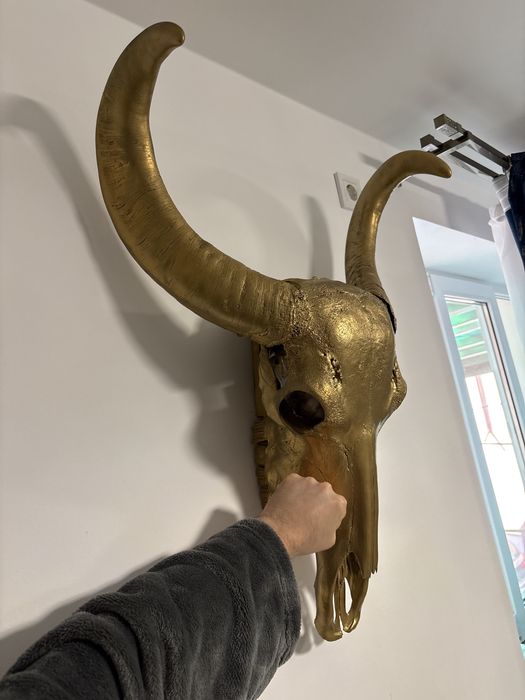 Obiect decorativ mare trofeu Bivol talie mare skull iasi centru