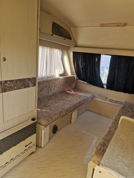 Rulota Beyerland inmatriculata Ro