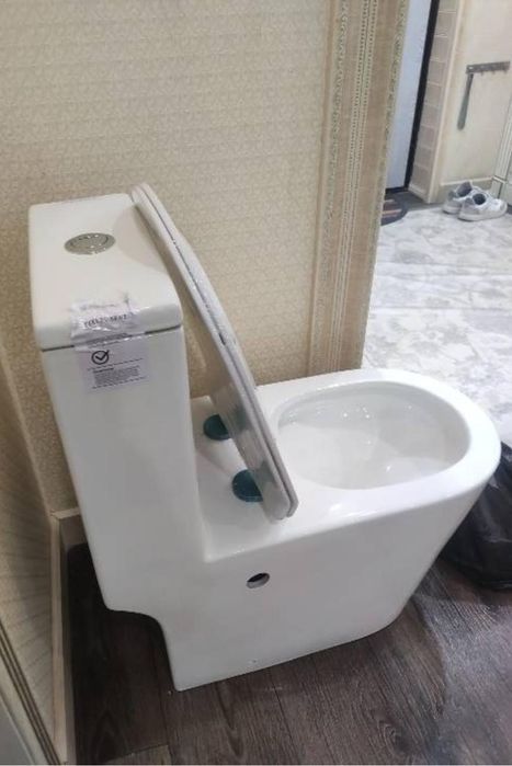 Монолитный унитаз