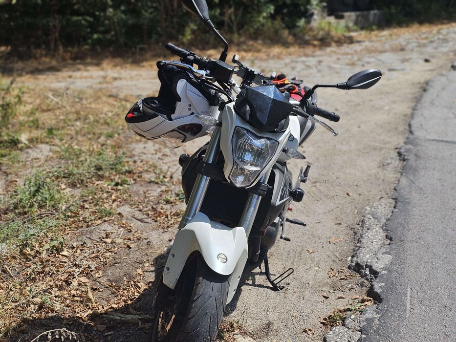 Мотор Benelli BN 302