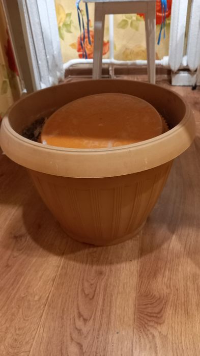 Горшок под цветы