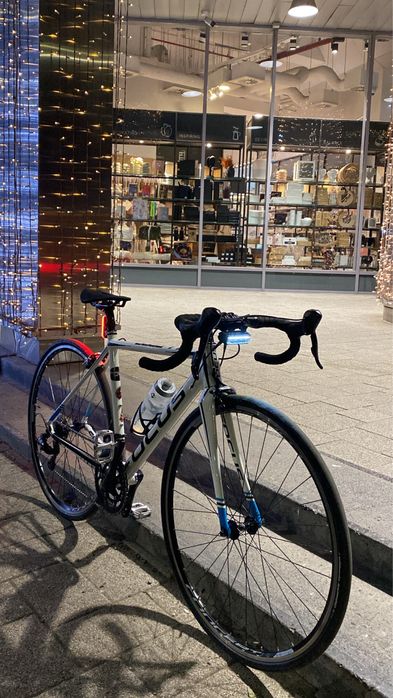 Cursieră Focus culebro 2015