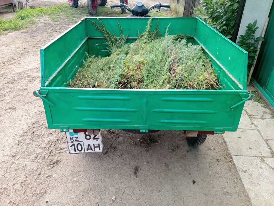 Продам муровей в отличном состоянии