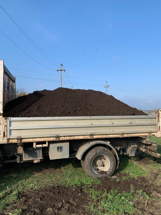 Pamant negru de flori , gradina sau gazon