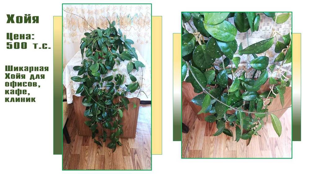 Стеллаж  стеклянный с подсветкой.