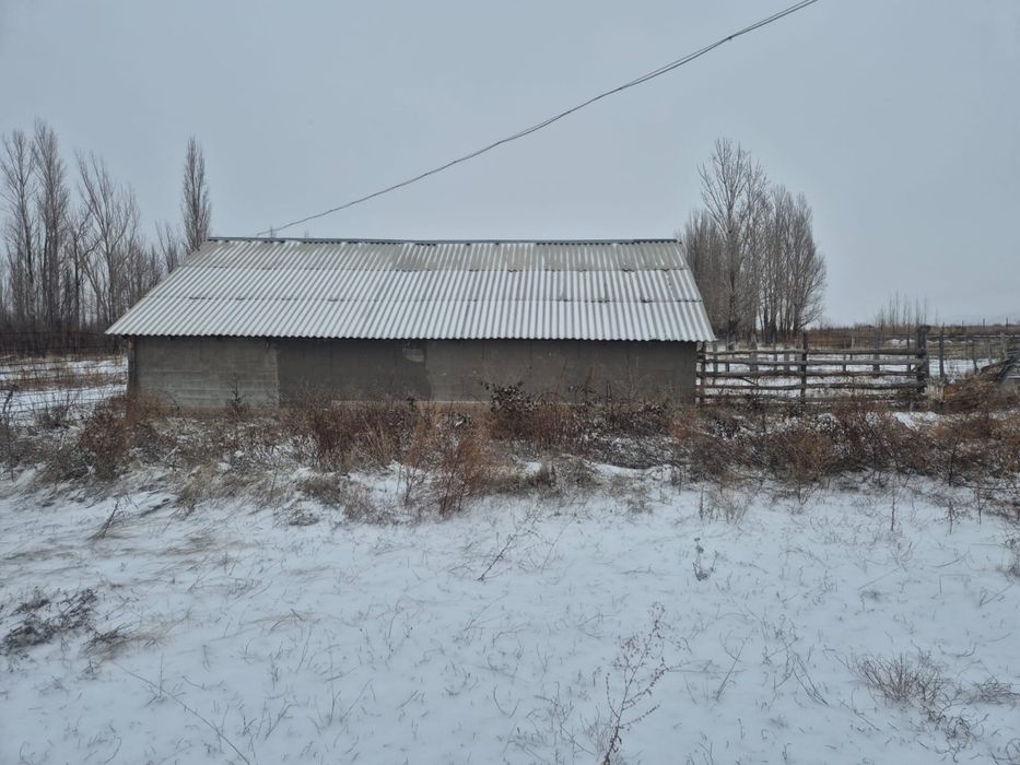 Фазенда 36 гектаров