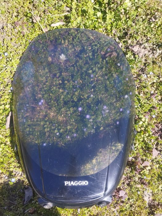 Слюда за  Piaggio X9