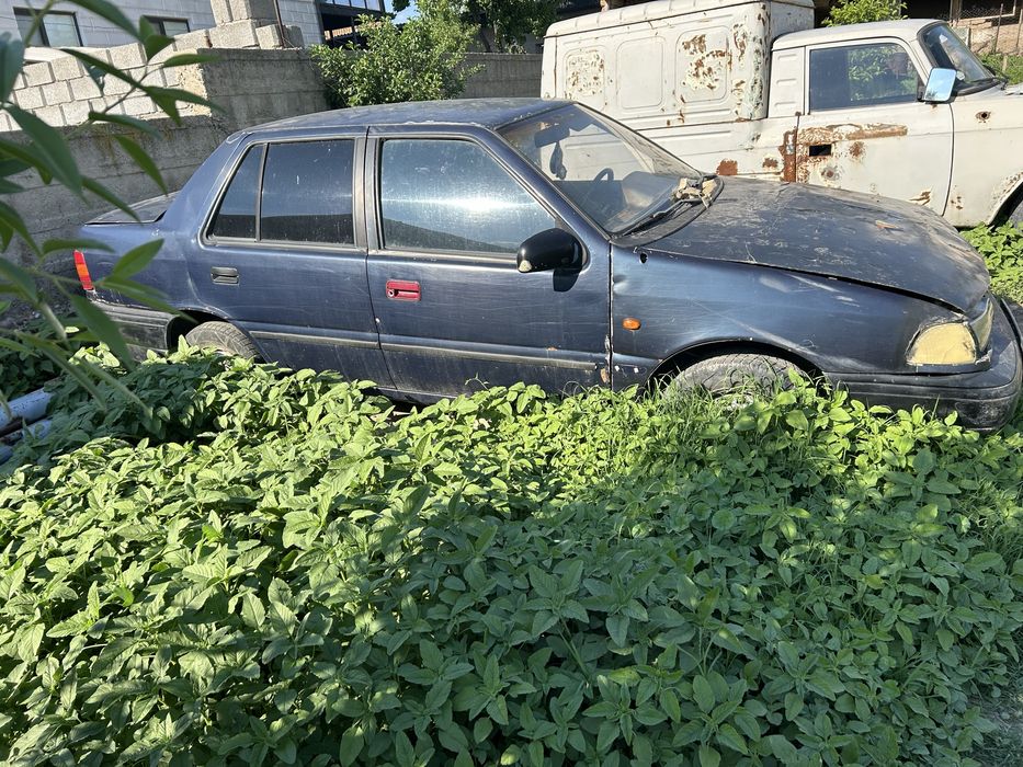 Кой  ешкыге вариант бар