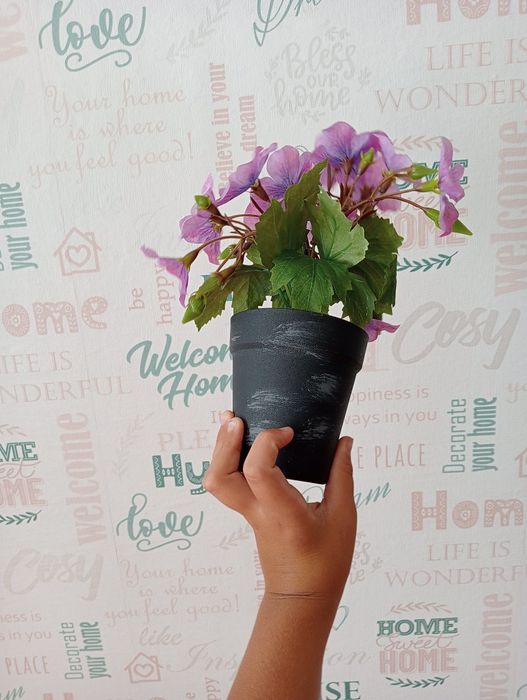 Продам цветок для дома