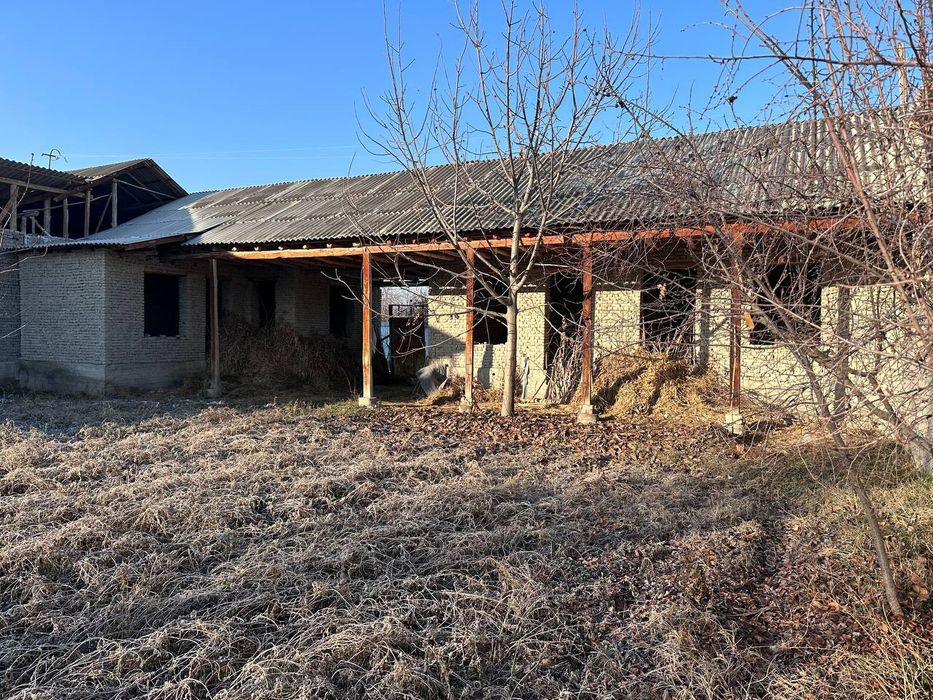 Farg’ona tumani, Oqtepa mfy, Amir temur ko’chasi 33-uy