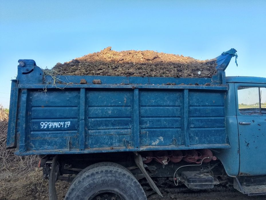 Chirigan mol nuri zil moshinasi bilan yetkazamiz yetkazib berish ichid