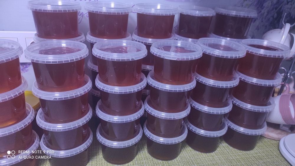 Продам мёд лесной