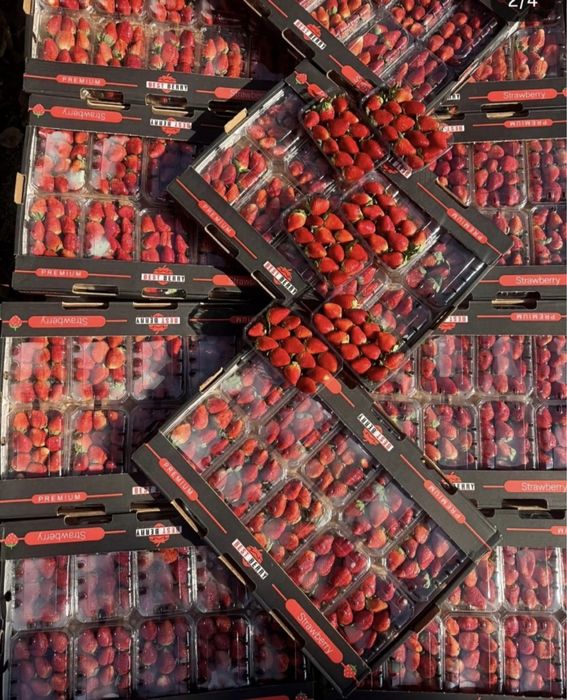 Клубника 5кг-4800о