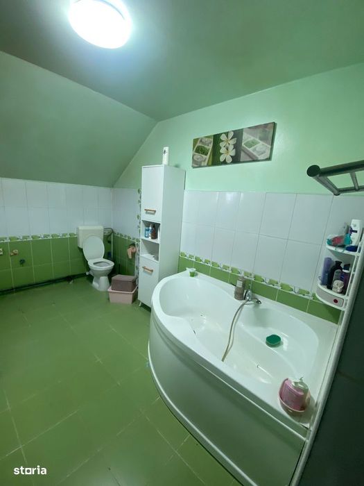 De vanzare CASA cu 3 hale in curte cu 16 ari teren la DN