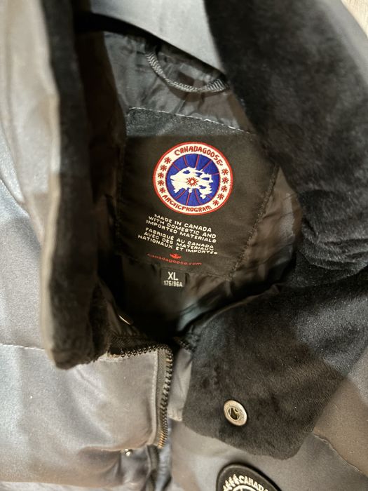 Vesta canada goose