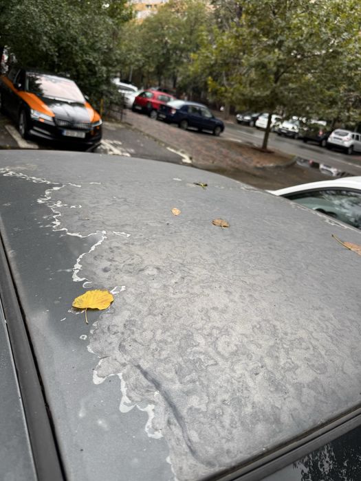 Fiat albea 2005 cititi anuntul