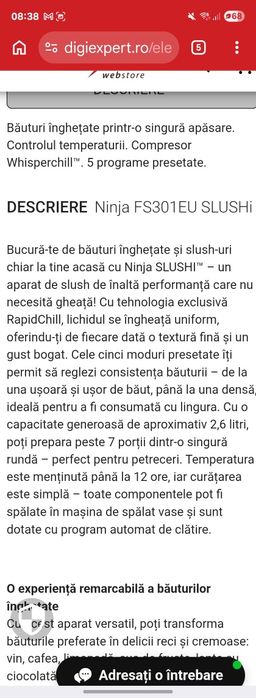 Ninja Slushi FS301