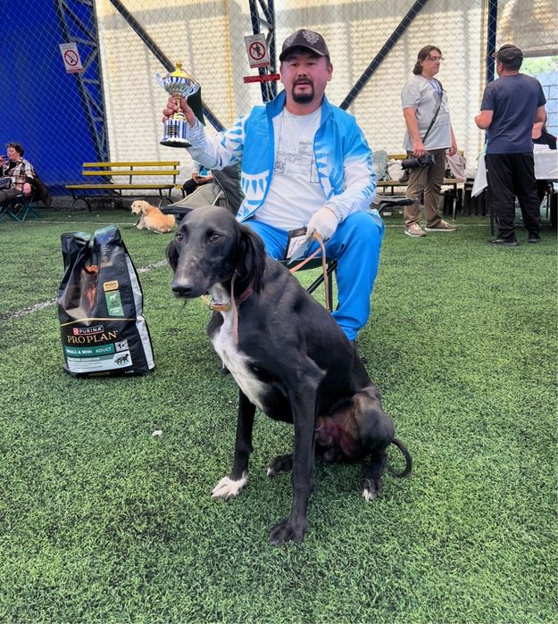 Тазы Қабылан 3 қар басты