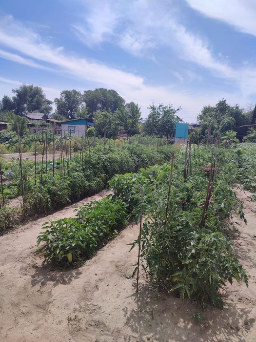Продам дачу на Солнечной долине.