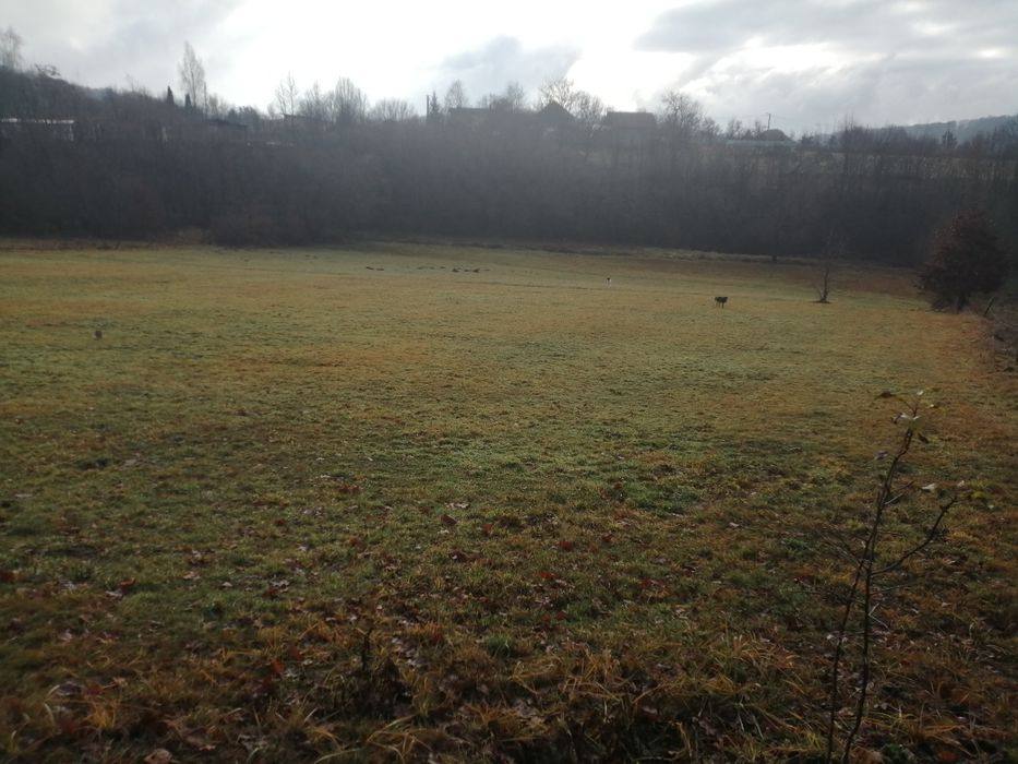 Teren de vânzare sovata