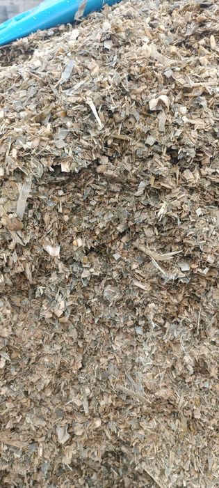 Silos sotiladi 18_20 kg