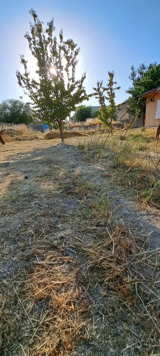 8 сотихли уй ховли сотилади 1 сотихи нархи 4минг $