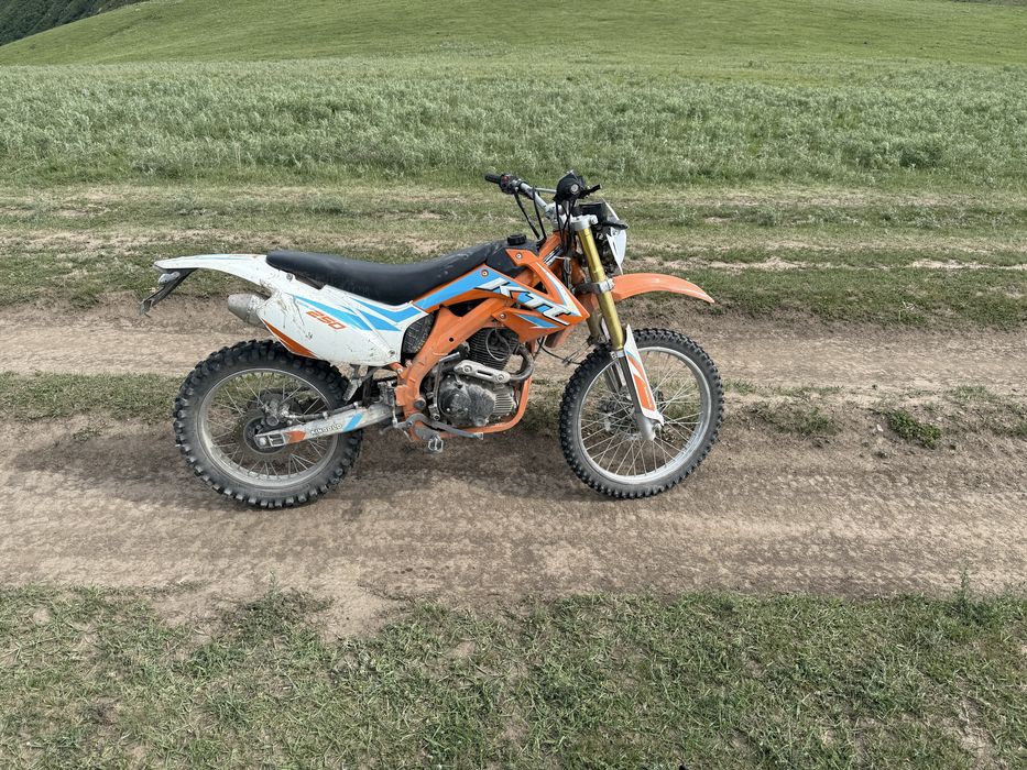 King Gold 250 оранжевый