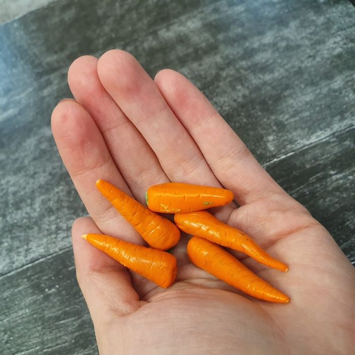 Фрукты и овощи из полимерной глины