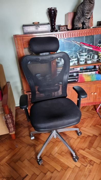 Scaun calculator ergonomic model Diablo. Pret 700 lei