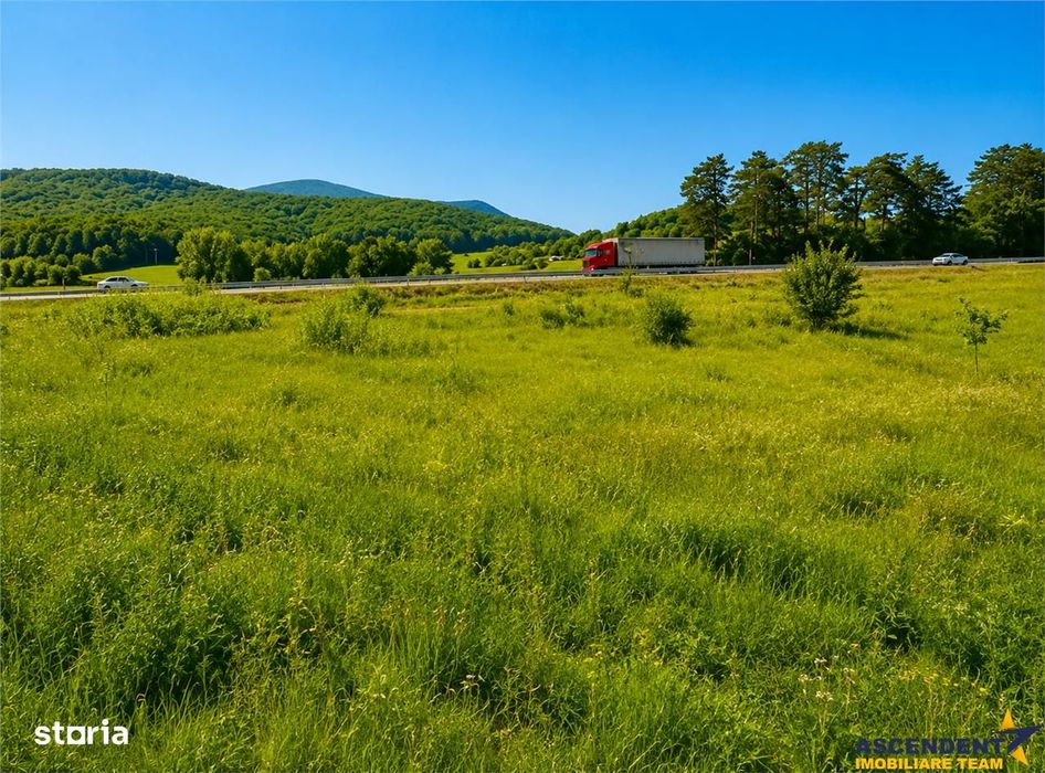 22.500mp oportunitate investitie, teren cu vizibilitate la DN1 E68, Co