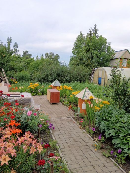 Продам дом в дачном обществе Садовод