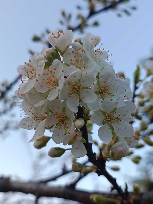 Vând teren  pe drumul Mănăstirii Petru Vodă