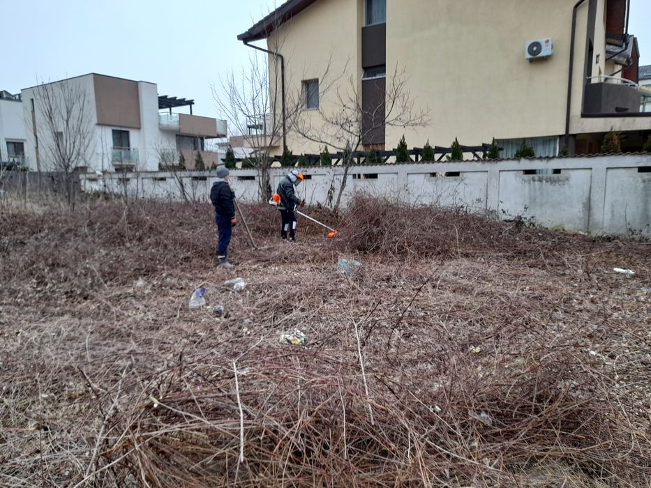 Tăiere copaci defrisari curățare Debarasare evacuare moloz transport