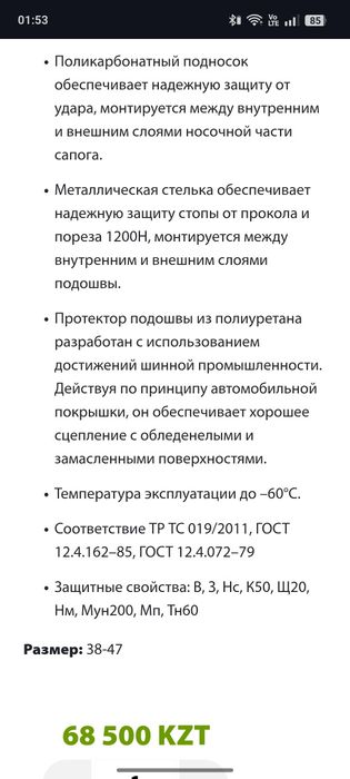 Зимнии сапоги Арктика