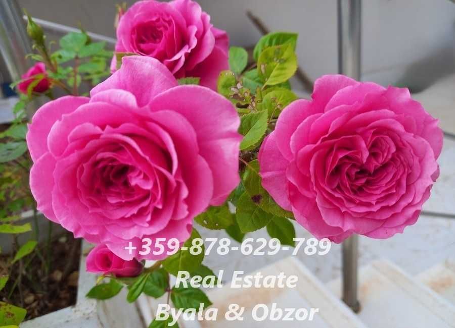 Дава се под наем Двустаен апартамент в Бяла - 61 кв.м за 74311.59 € - Снимка #3