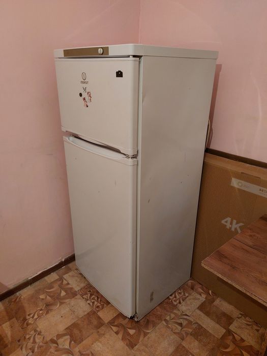 Холаделник жасап тур