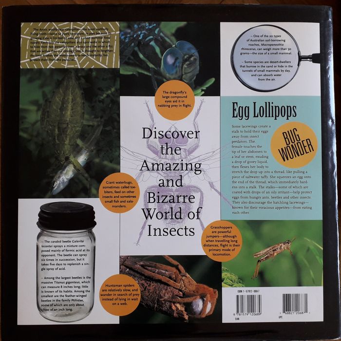 Album "Insecte", in limba engleza. Publicat in SUA