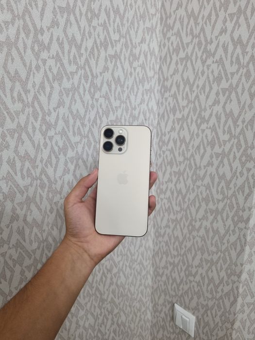 iPhone 16 Pro Max 256 GB sim