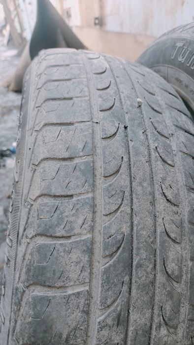 Продам летние шины r15