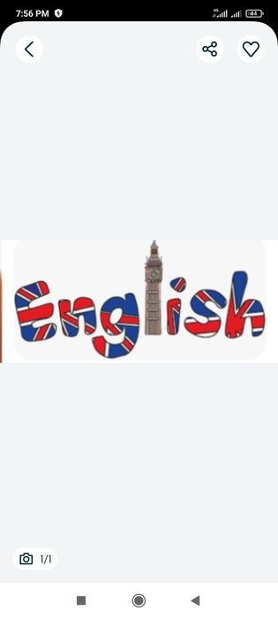 pachemuchka repititor