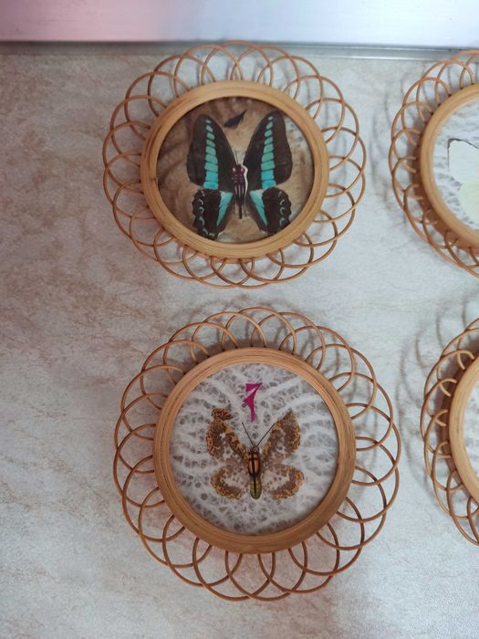 Set 6 suporti pentru pahare cu fluturi