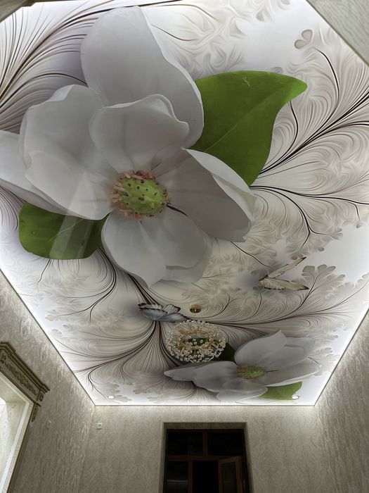 Натяжной потолок