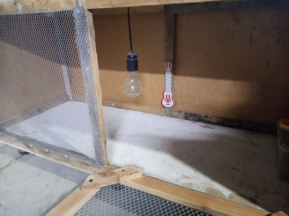 Брудер для цыплят