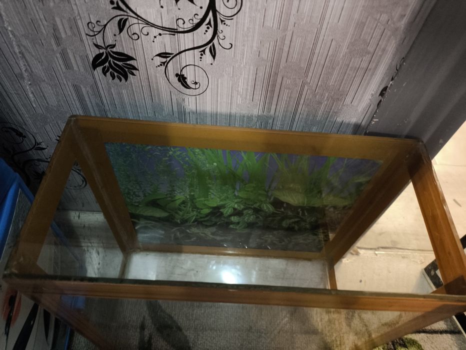 Аквариум 10,10,8.20 литровые