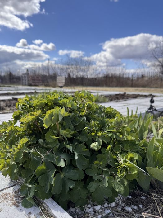 Продам дачу в СО ДАРХАН